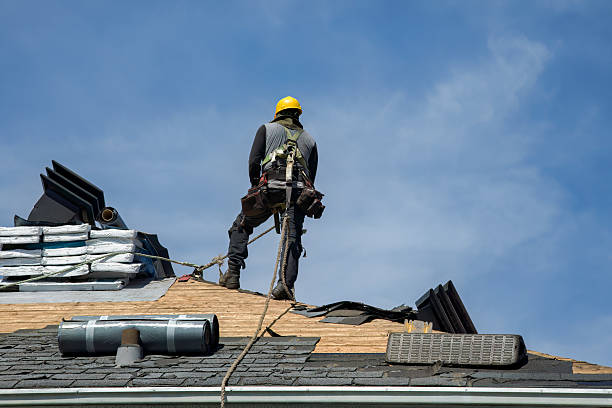 Professional Storm Damage Roof Repair technician working in Milton, NC